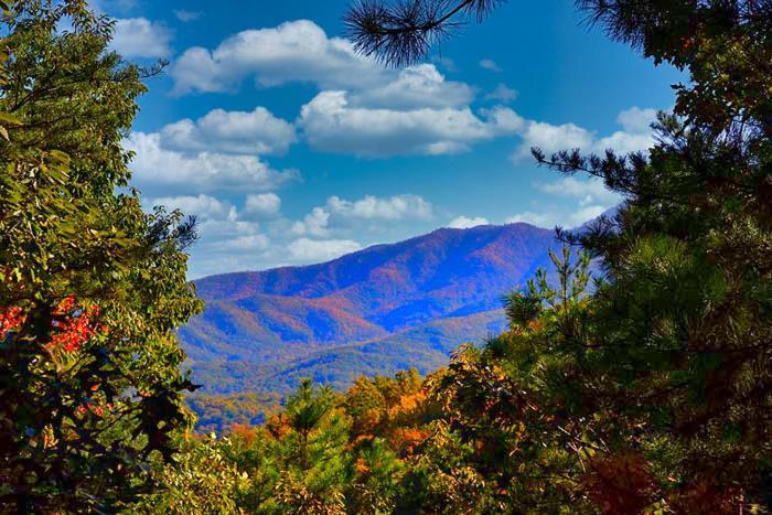 Mountain Love Nest Gatlinburg Exterior foto
