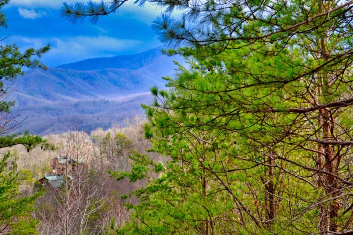 Mountain Love Nest Gatlinburg Exterior foto